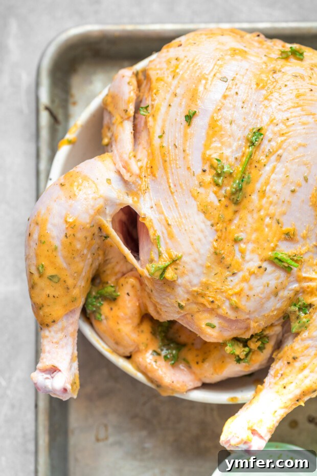 Crispy Air Fryer Whole Chicken 4 Air Fryer Whole Chicken covered in spices before cooking.