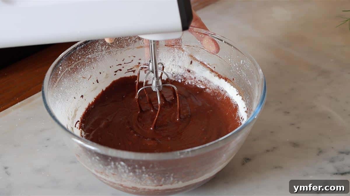 Decadent Chocolate Brownie Cake 15 Gently mixing the sifted flour into the chocolate batter with a hand mixer on low speed