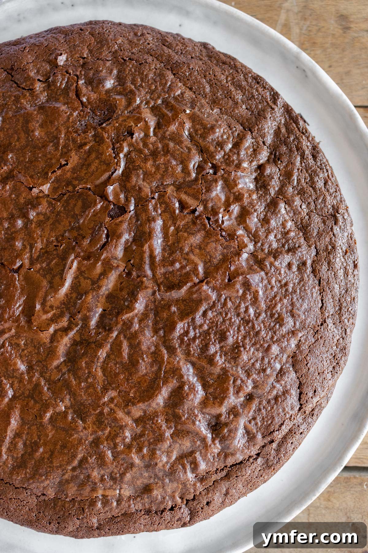 Decadent Chocolate Brownie Cake 19 A stunning whole vegan chocolate brownie cake, perfectly baked and ready to slice into servings