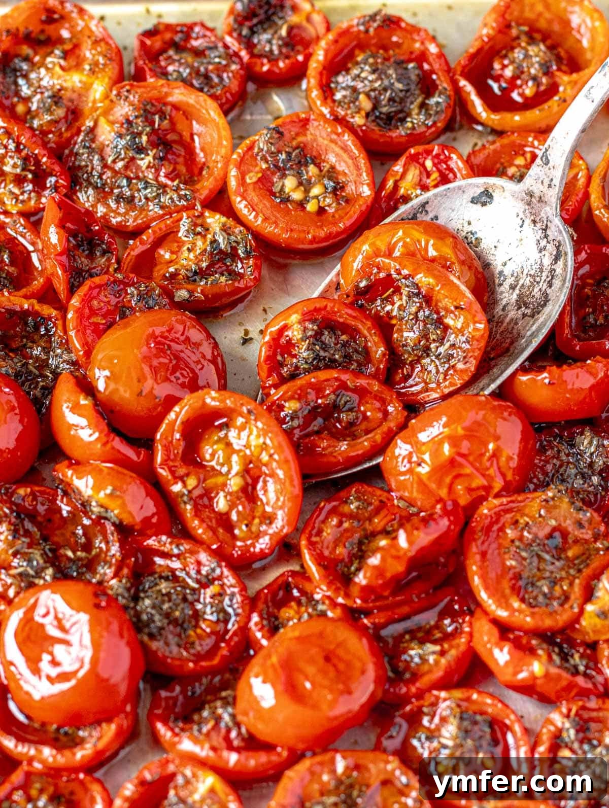 Slow-Roasted Tomato Jewels 2 confit tomatoes after roasting with a silver spoon