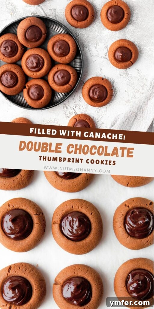 Rich Double Chocolate Thumbprint Gems 6 A visually appealing Pinterest pin graphic for Double Chocolate Thumbprint Cookies, showcasing a mouth-watering image of the cookies with clear, engaging text overlay designed to attract clicks and shares.