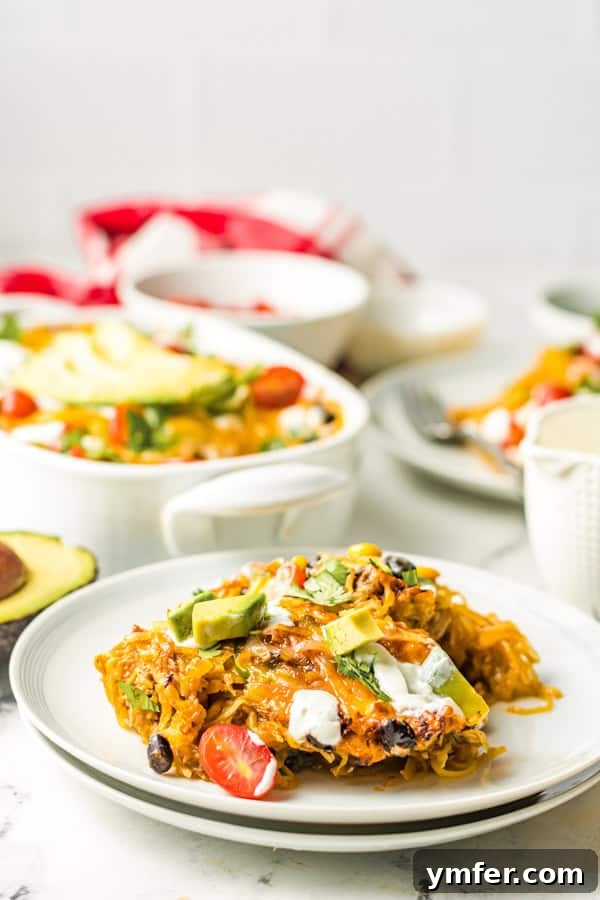 Zesty Southwestern Air Fryer Spaghetti Squash 8 A serving of Air Fryer Southwest Spaghetti Squash on a plate, garnished with fresh toppings.