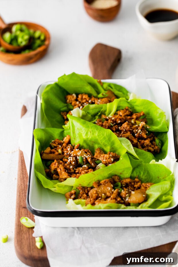 Savory Chicken Lettuce Cups 6 Prepared P.F. Chang's Chicken Lettuce Wraps, garnished with sesame seeds.