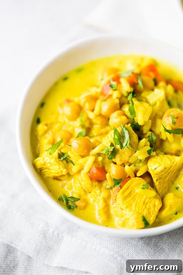 Creamy Golden Turmeric Chicken Soup 4 A single serving of Chicken Coconut Milk Turmeric Soup in a white bowl with a spoon, ready to be enjoyed.