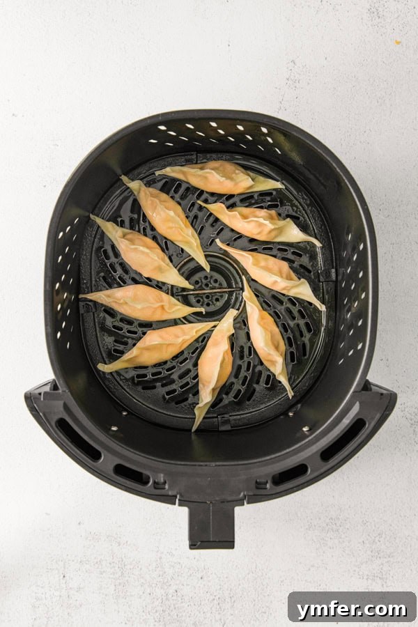 Crispy Air Fried Buffalo Wonton Poppers 4 Air Fryer Buffalo Chicken Wontons uncooked in an air fryer.