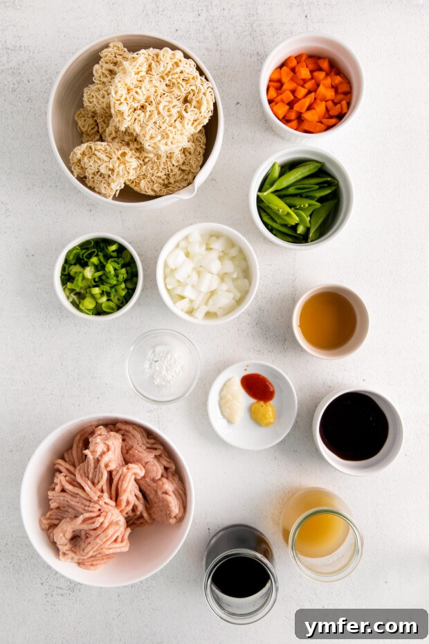 Umami Chicken Ramen Stir Fry 3 Ground Chicken Ramen Stir Fry ingredients on a table.