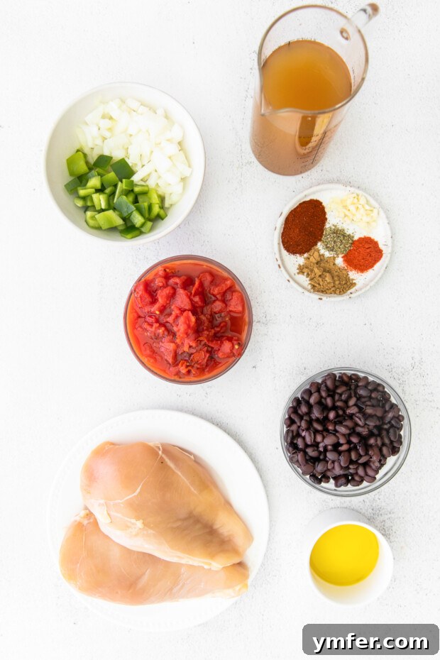 Zesty Instant Pot Chicken Tortilla Soup 3 Assortment of fresh ingredients for Instant Pot Chicken Tortilla Soup laid out on a clean surface, including chicken breasts, tomatoes, onions, and various spices.