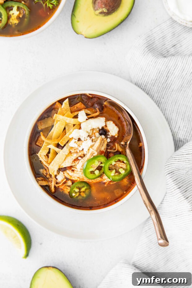 Zesty Instant Pot Chicken Tortilla Soup 5 A spoonful of Instant Pot Chicken Tortilla Soup being lifted from a bowl, showcasing the rich broth, chicken, and beans.