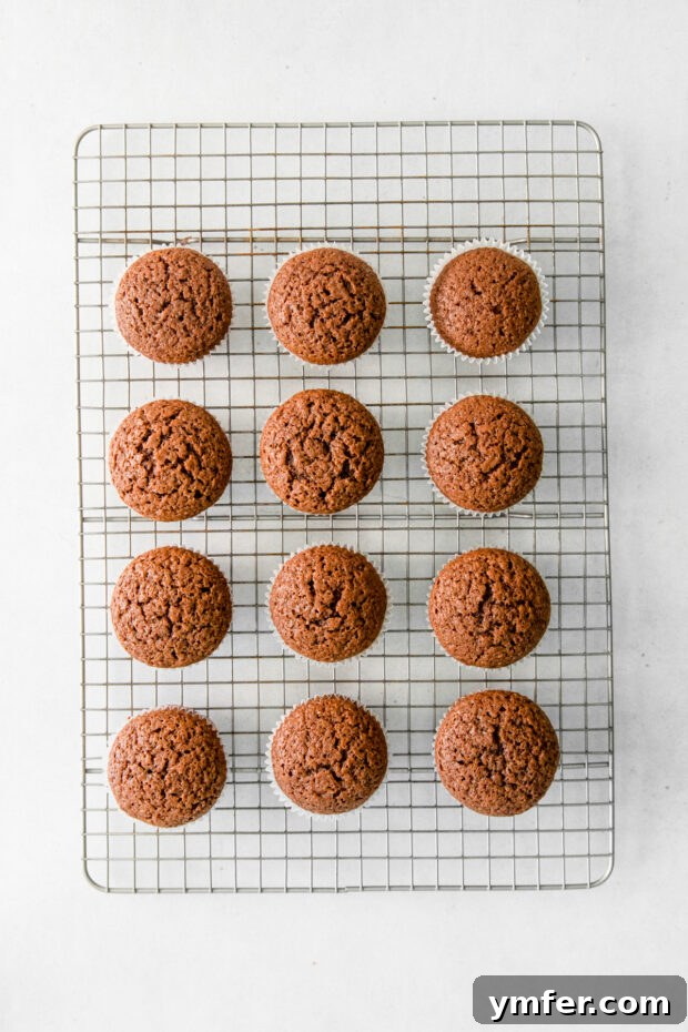 Velvet Stout Chocolate Cupcakes 9 Perfectly baked chocolate cupcakes cooling on a wire rack after being removed from the oven.