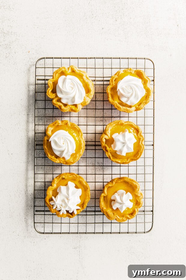 Cloud-Kissed Lemon Tartlets 11 A perfectly baked, golden-brown mini tart shell resting in its pan, ready for filling.