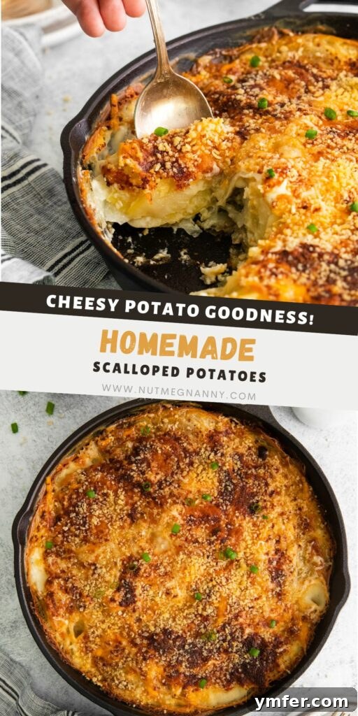Ultimate Homemade Scalloped Potatoes 12 Homemade Scalloped Potatoes pin for Pinterest, showcasing a close-up of the dish with a focus on texture and golden crust.