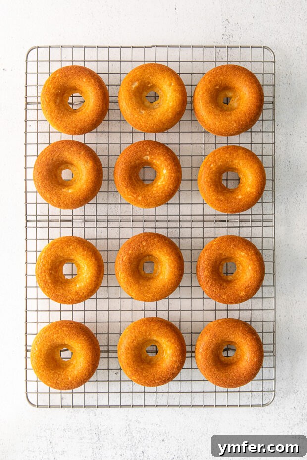 Robin's Egg Blue Baked Donuts 5 Freshly baked donuts cooling on a wire rack before glazing.