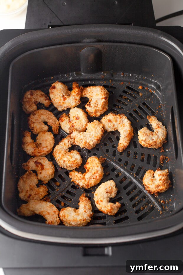 Golden Crispy Air Fryer Shrimp 8 Golden-brown, perfectly cooked Crispy Air Fryer Shrimp resting in the air fryer basket.