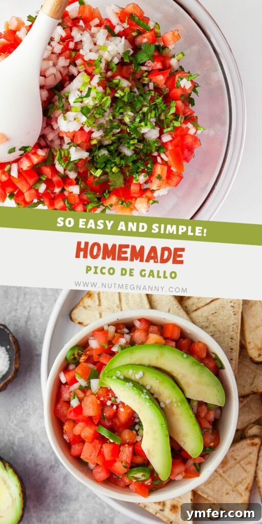 Vibrant Mexican Salsa 12 Pico de Gallo pin for Pinterest.