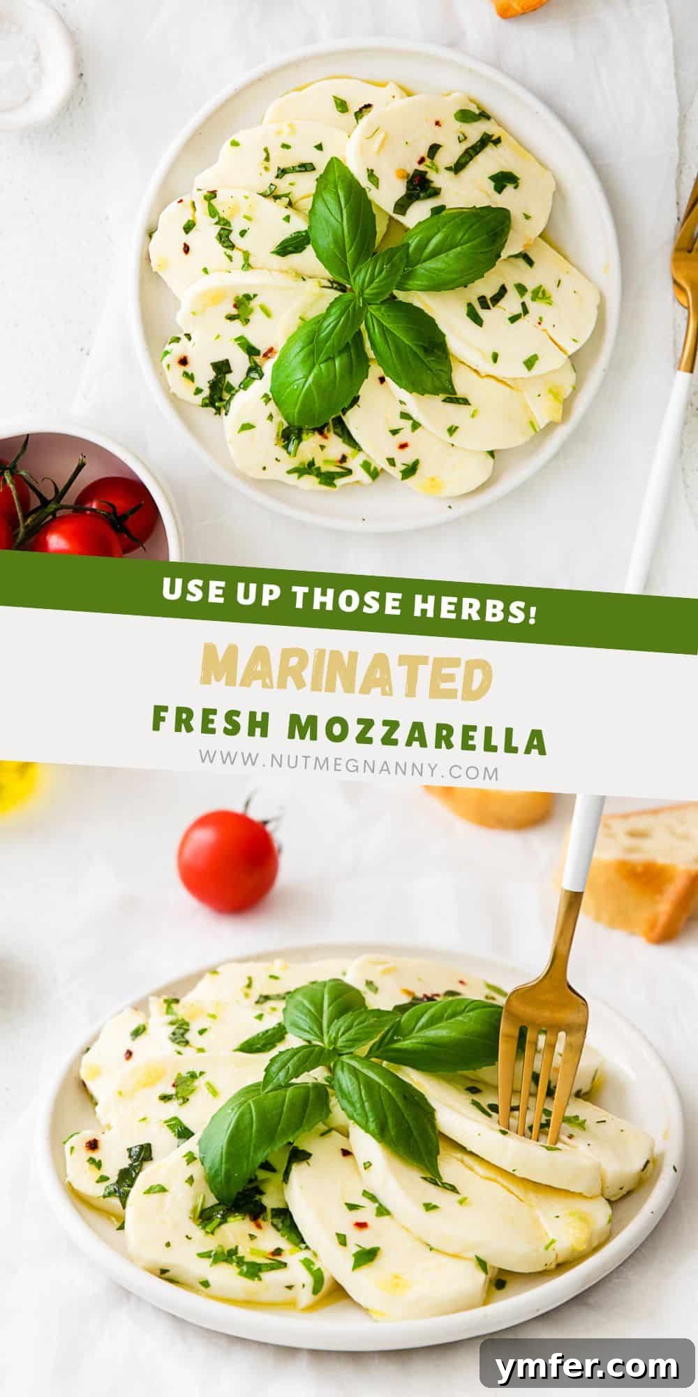 Flavorful Mozzarella Delights 10 Marinated Mozzarella pin for Pinterest.