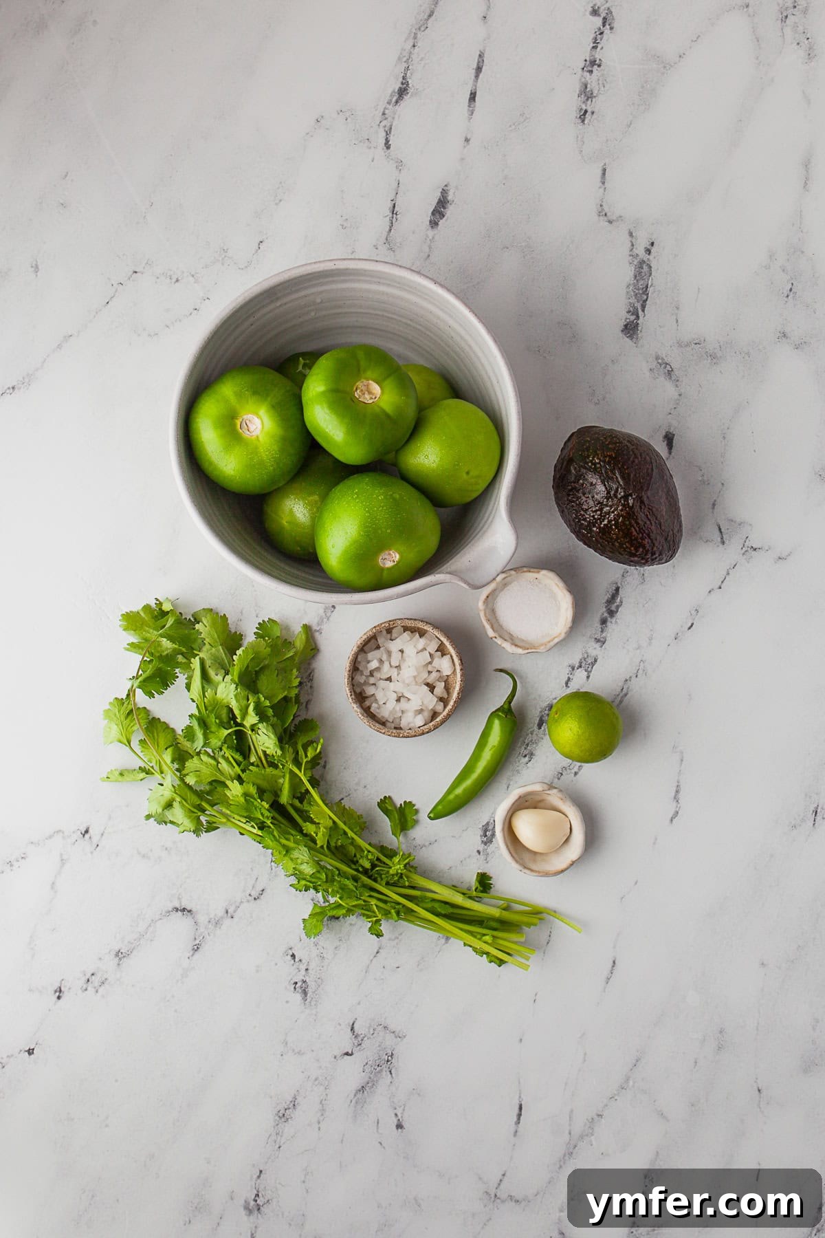 Vibrant Homemade Salsa Verde 3 Ingredients to make Homemade Salsa Verde on a table.