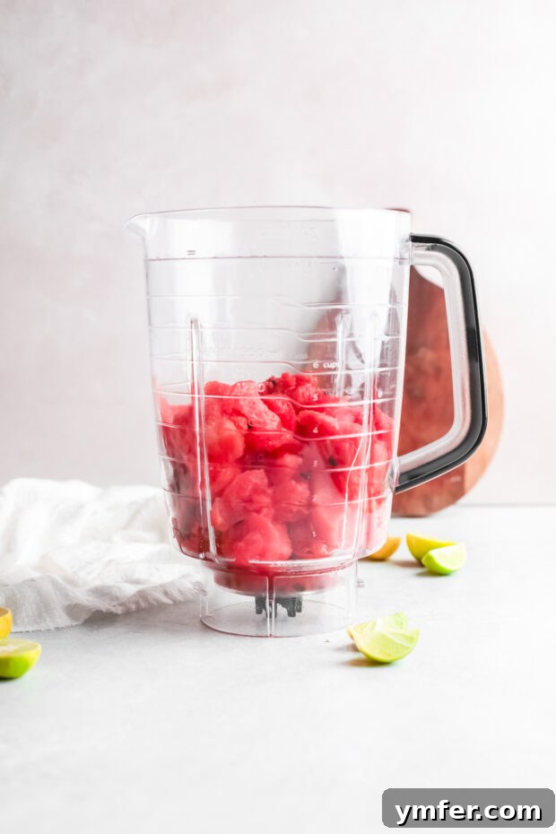 Blush Paloma 4 Watermelon in a blender container.