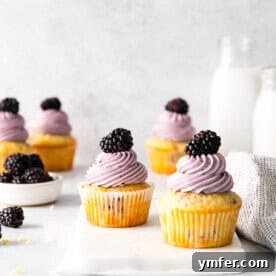 Blackberry Bramble Cupcakes 11 Blackberry Cupcakes