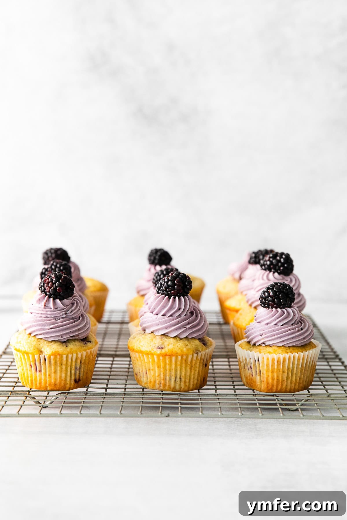 Blackberry Bramble Cupcakes 7 Freshly baked Blackberry Cupcakes cooling on a wire rack, waiting to be frosted.