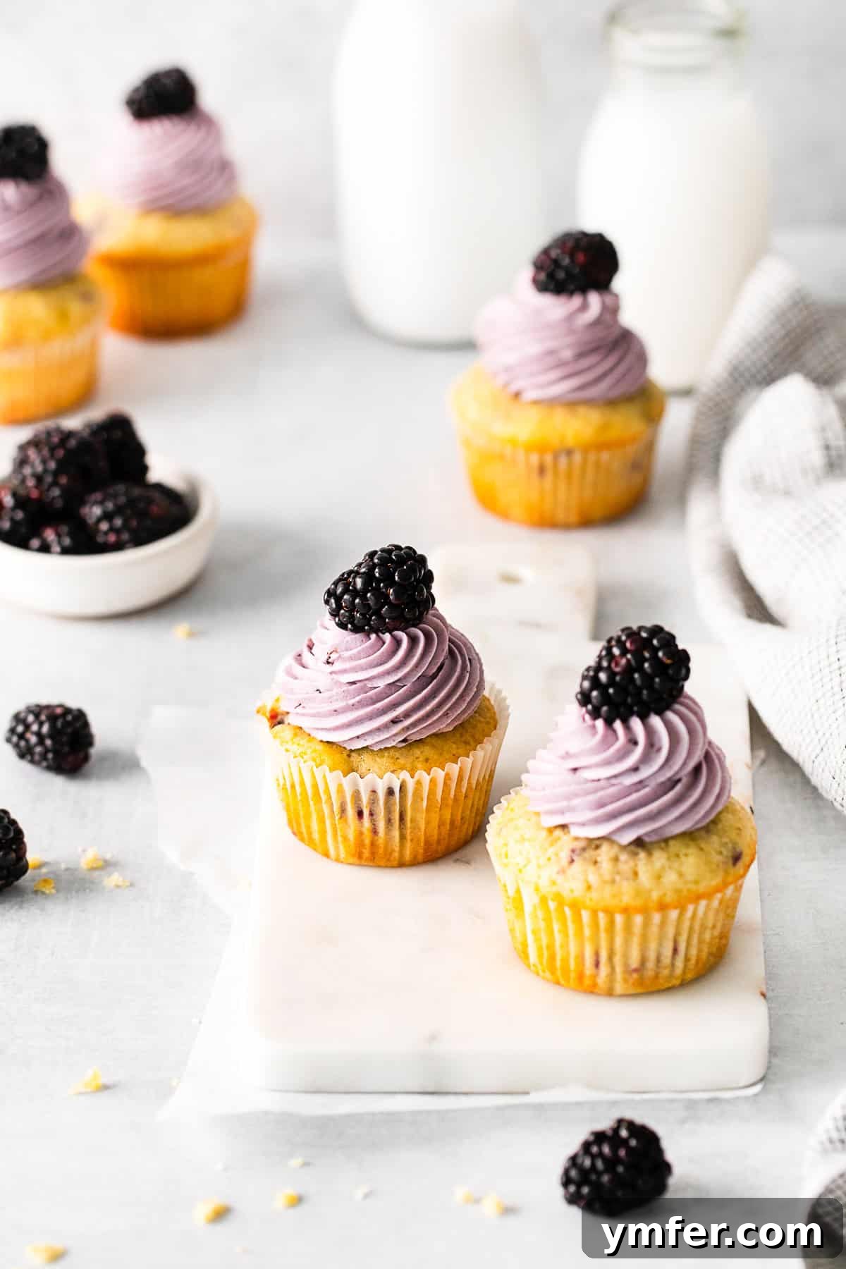 Blackberry Bramble Cupcakes 9 A single Blackberry Cupcake, beautifully frosted and garnished with a fresh blackberry on top.