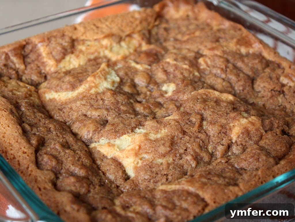 A freshly baked New York-Style Crumb Cake in a baking dish, cut into squares. The crumb topping is golden brown and thick.
