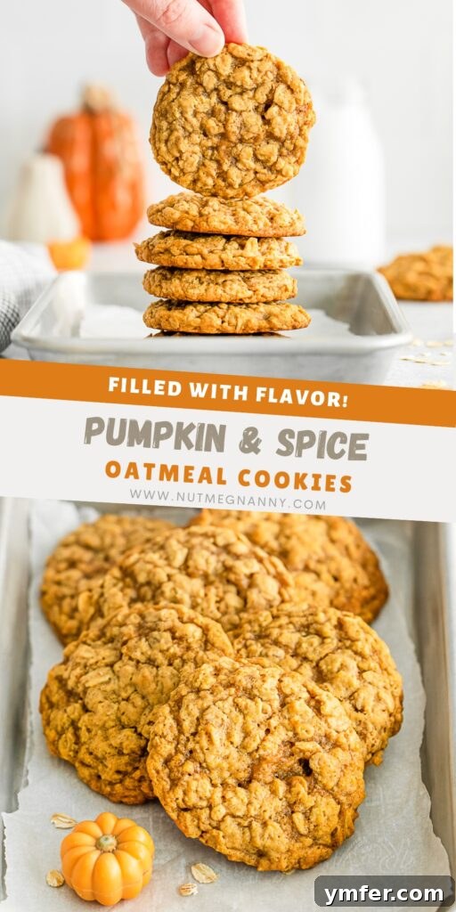Autumn Spice Oatmeal Delights 12 Pumpkin Oatmeal Cookies pin for Pinterest.