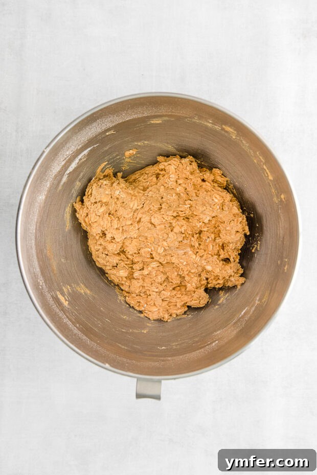 Autumn Spice Oatmeal Delights 5 Cookie dough in a mixing bowl.