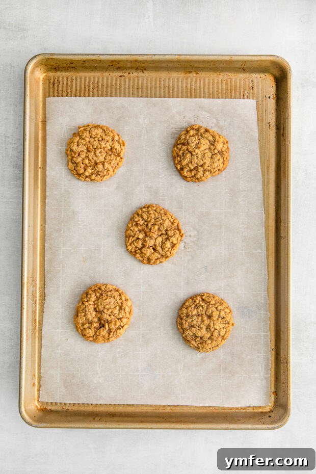 Autumn Spice Oatmeal Delights 7 Cooked Pumpkin Oatmeal Cookies on a sheet pan.