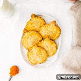 Autumn Pumpkin Pockets 12 Pumpkin Hand Pies