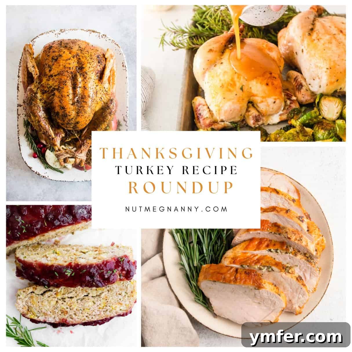 A vibrant collage showcasing various Thanksgiving turkey dishes, from whole roasted turkey to sheet pan meals and chili, perfect for holiday gatherings.