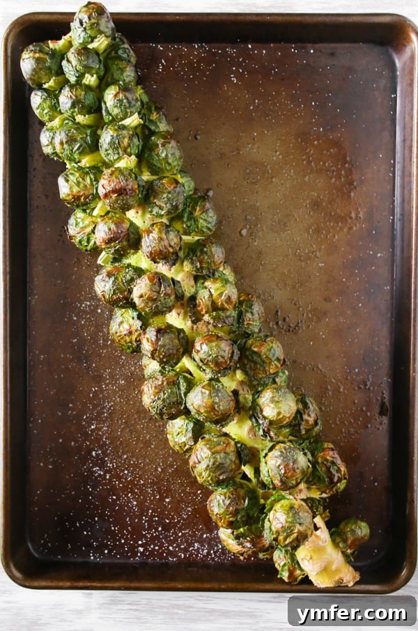 A Feast of Thanksgiving Sides 7 Impressive on-the-stalk roasted Brussels sprouts arranged on a baking sheet.