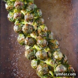 Crispy roasted Brussels sprouts on the stalk.