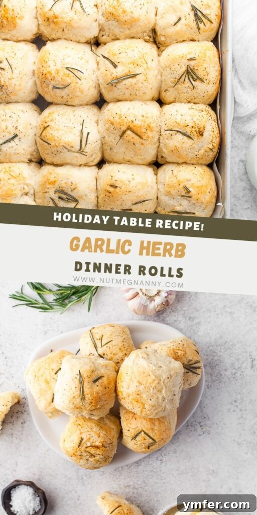 Warm Garlic Herb Rolls 12 A beautifully arranged pin graphic for Garlic Herb Dinner Rolls, ideal for Pinterest, featuring the rolls with fresh herbs.