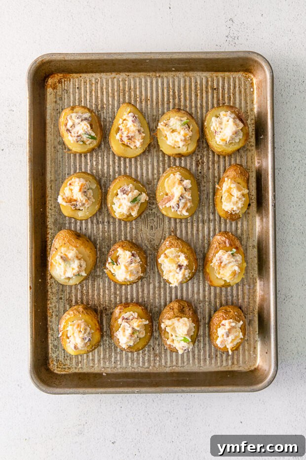 Tiny Tater Toppers 5 Mini baked potato skins generously stuffed with a creamy, cheesy, and savory filling.