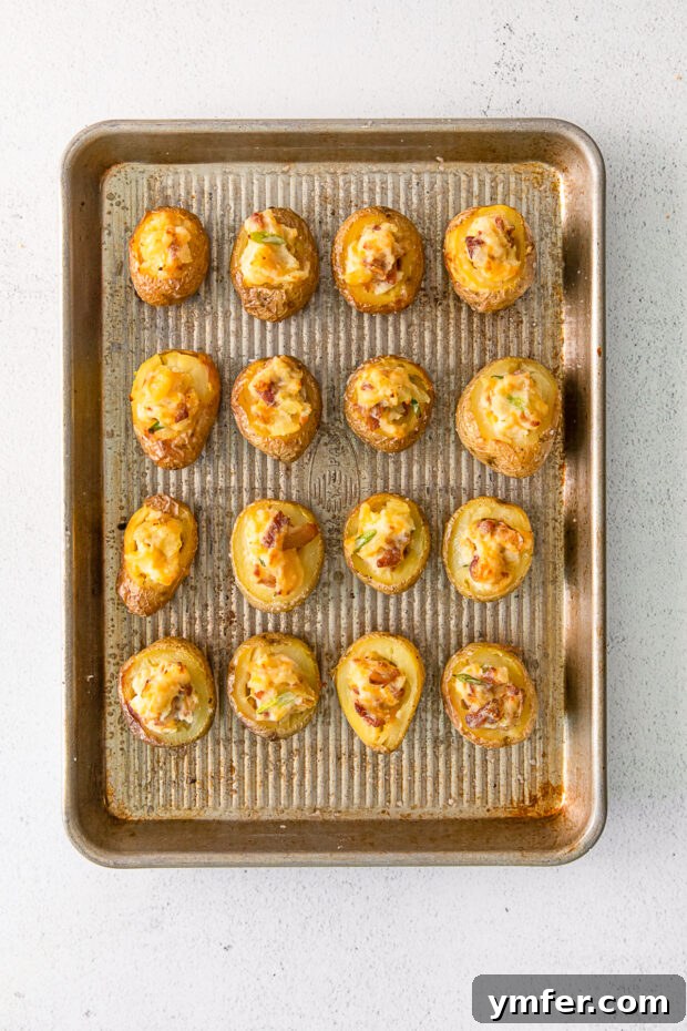 Tiny Tater Toppers 6 A baking sheet filled with perfectly baked and stuffed Mini Loaded Baked Potatoes, golden and ready to serve.