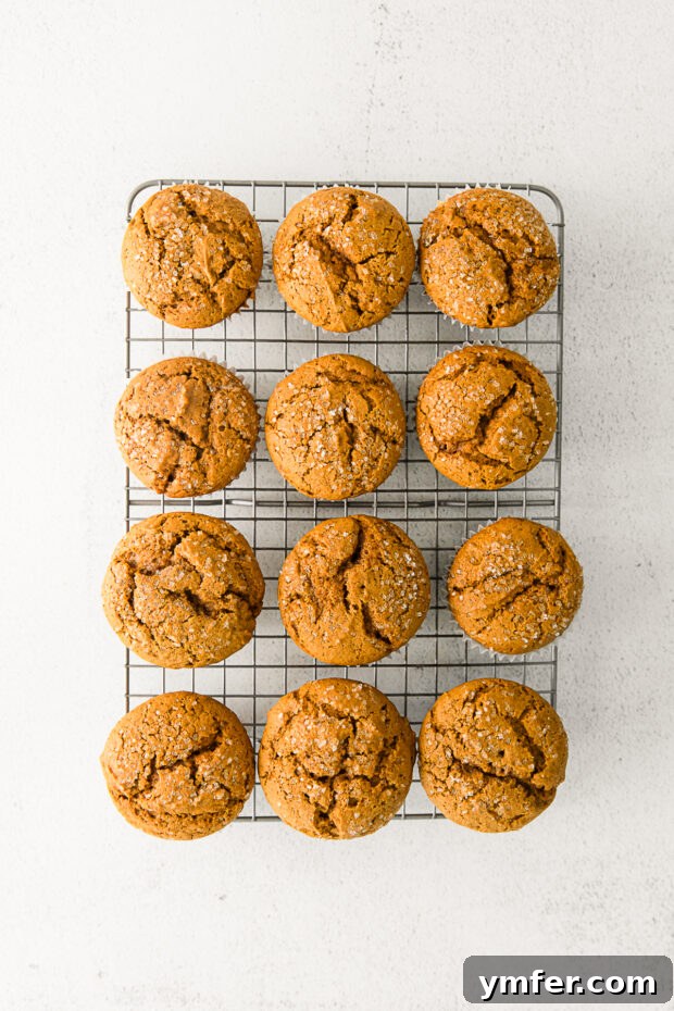 Spiced Molasses Muffins 5 Warm, cooked gingerbread muffins cooling on a wire rack, their tops golden and inviting.