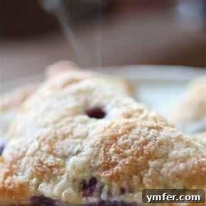 Blueberry Mascarpone Delights 2 img 2857 2