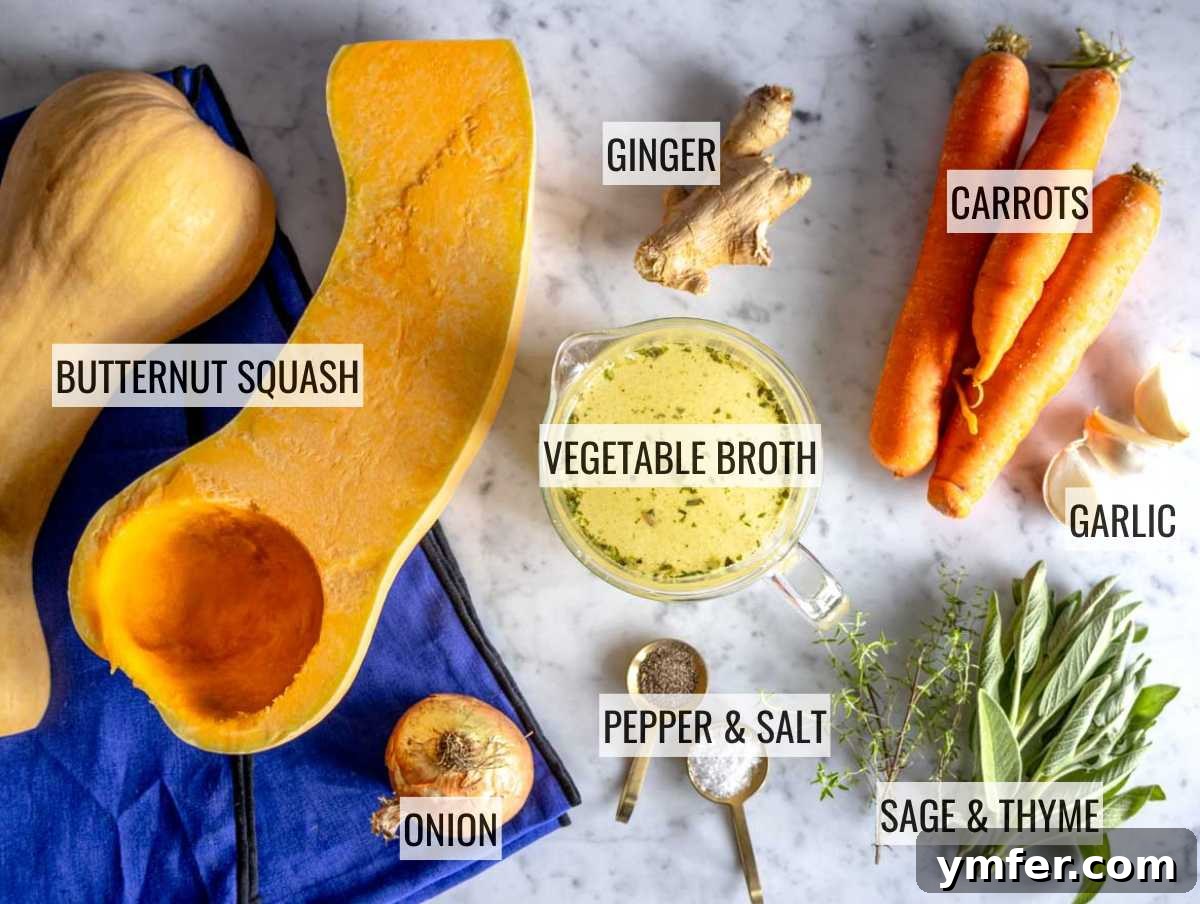 Velvet Butternut Comfort 5 Assortment of fresh ingredients for butternut squash soup, including squash, carrots, onion, garlic, herbs, and spices