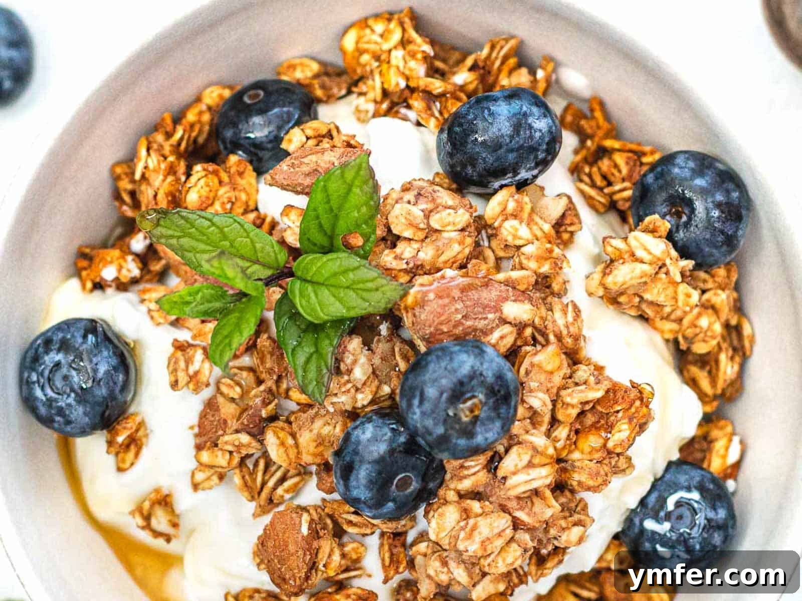Granola with yogurt and fresh berries.