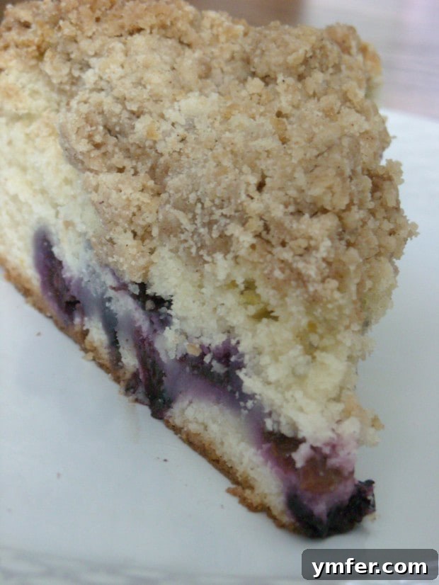 Summer Blueberry Crumb Cake Delicious Blueberry Crumb Cake with a generous streusel topping, perfect for summer.