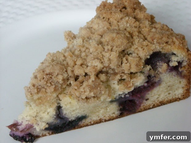 Blueberry Crumb Cake Slice Close-up of a slice of Blueberry Crumb Cake, showing moist texture and blueberries.