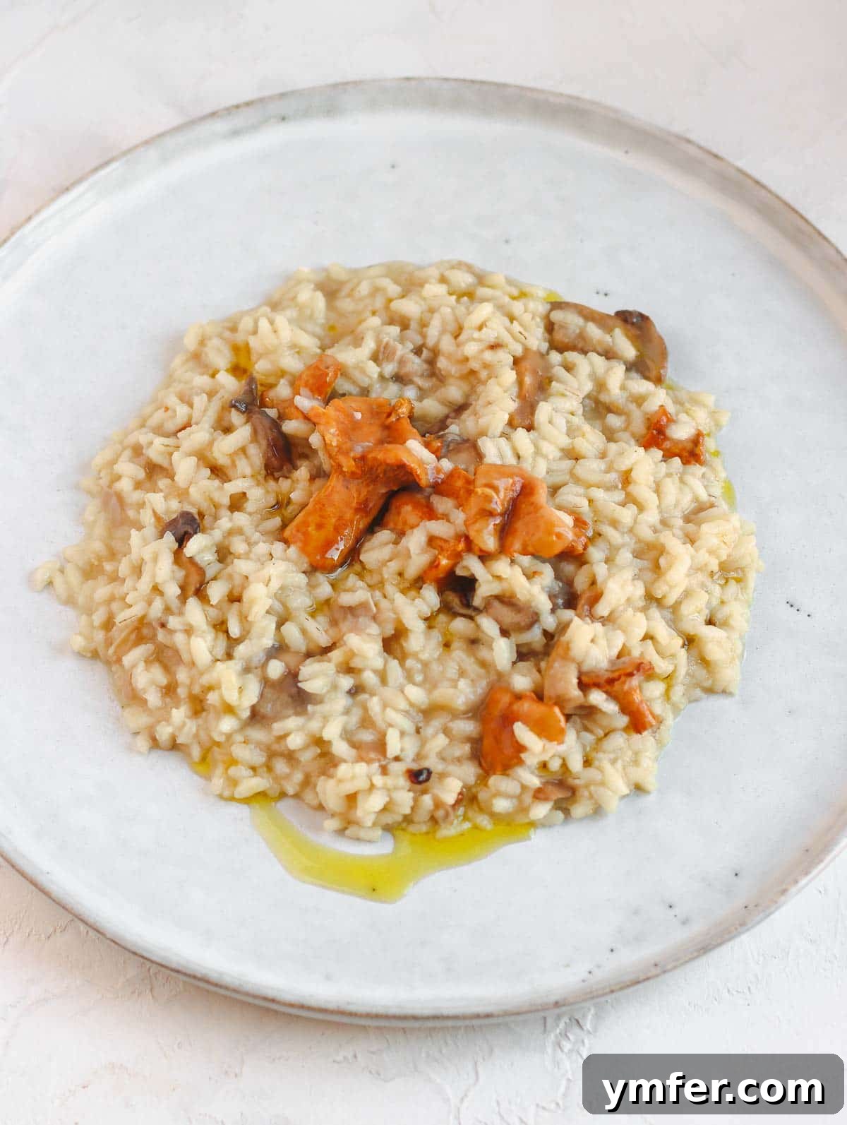 Effortless Plant-Based Risotto 17 Close-up of a bowl of rich vegan mushroom risotto.