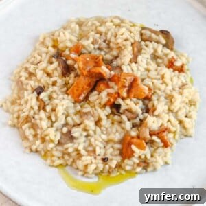 Effortless Plant-Based Risotto 18 A bowl of creamy vegetable risotto, drizzled with olive oil and garnished.