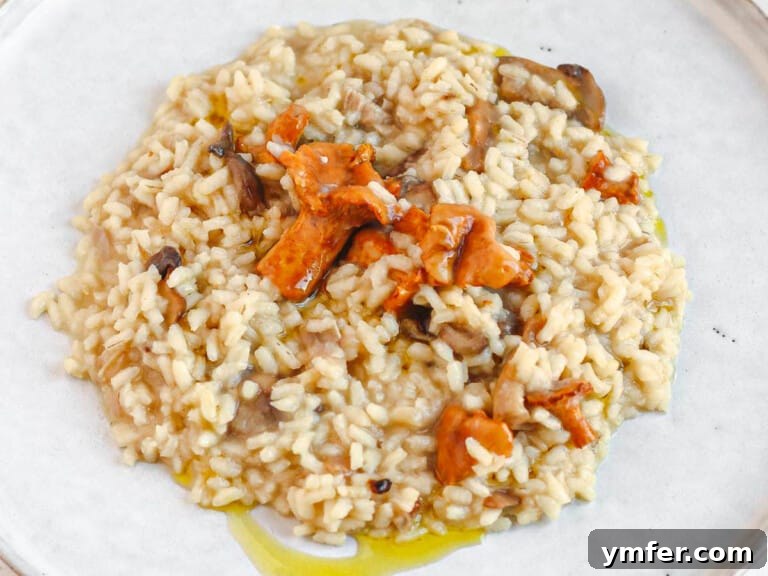 Effortless Plant-Based Risotto 25 Close-up of a plated vegetable risotto with mushrooms.