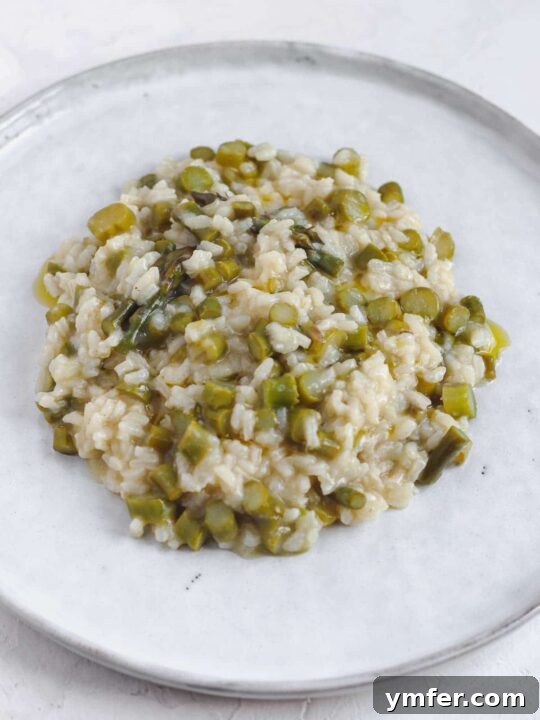 Effortless Plant-Based Risotto 6 Vibrant vegan asparagus risotto in a bowl, with a focus on fresh green asparagus.