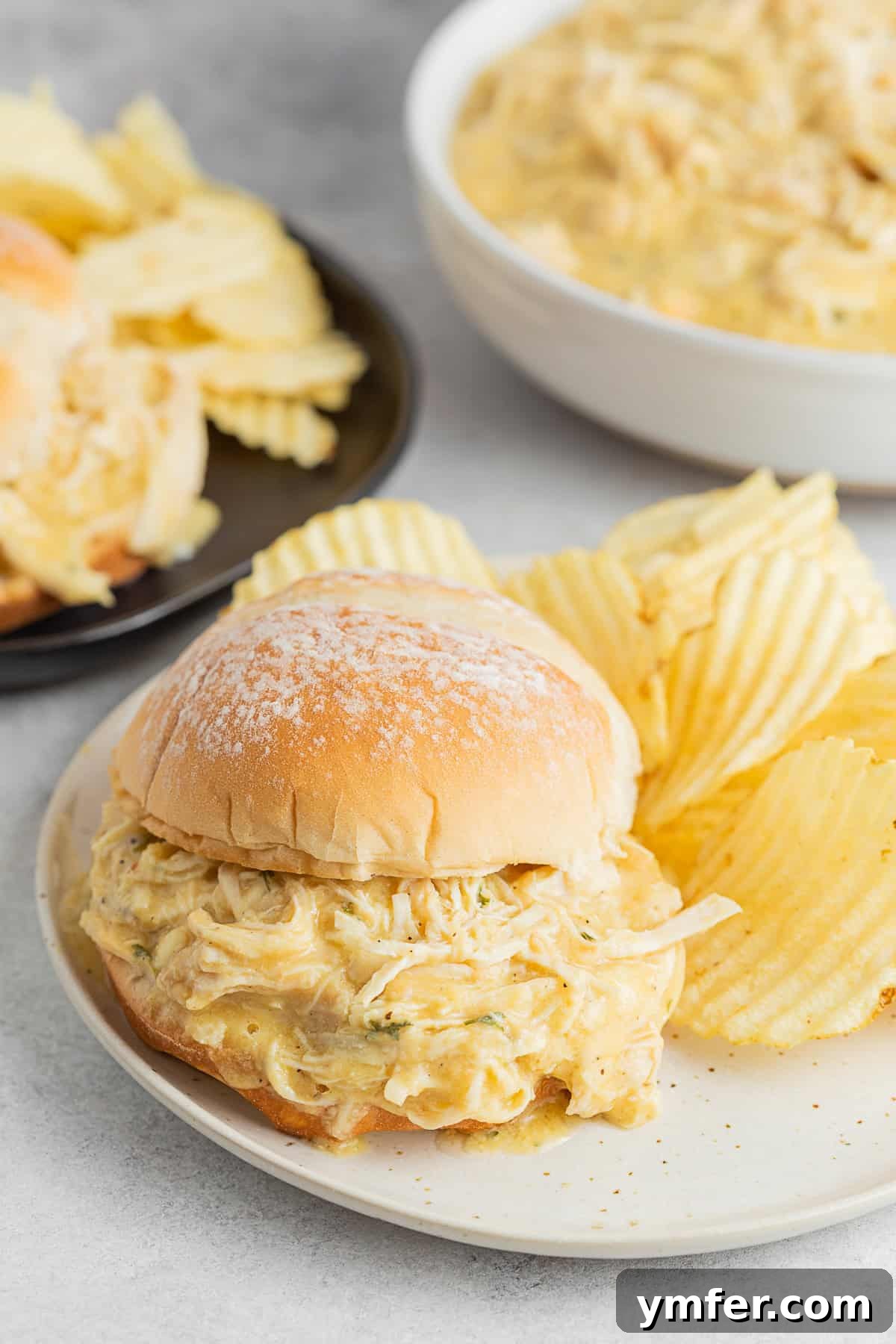 Buckeye State Shredded Chicken Sandwich 2 Ohio Shredded Chicken Sandwich served with chips on a plate.