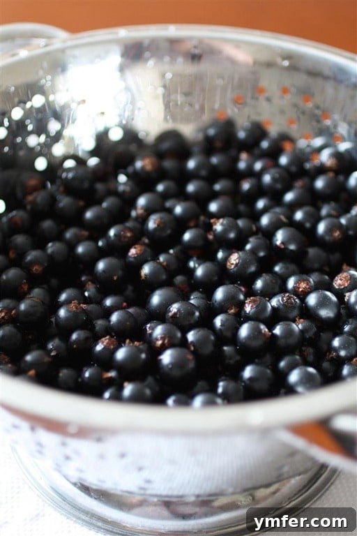 A wooden bowl overflowing with freshly picked, deep purple blackcurrants, ready for processing.