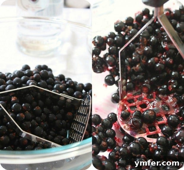 A large glass bowl filled with thoroughly mashed blackcurrants, a critical stage in preparing homemade cassis.