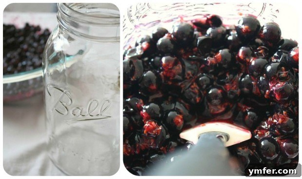 Mashed blackcurrants securely packed into the bottom of a large glass jar, awaiting the addition of vodka for infusion.