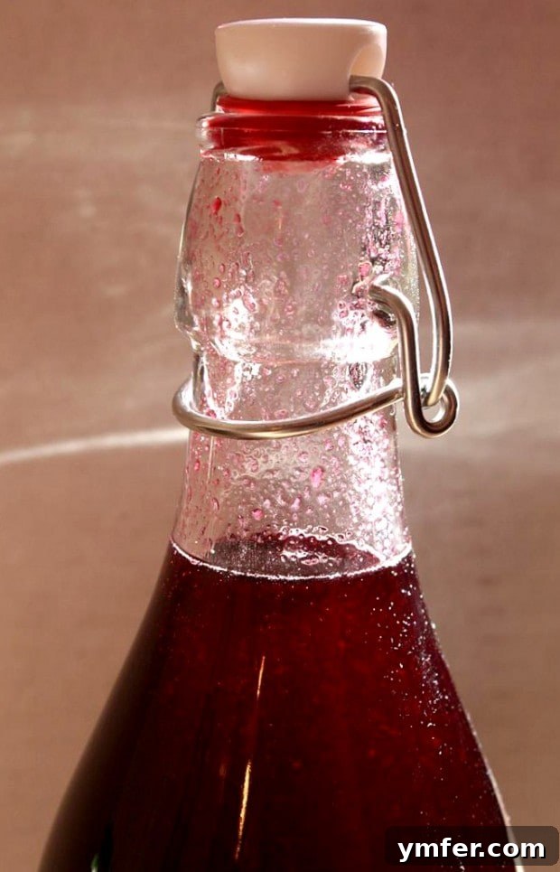 A elegant Kir Royale cocktail, featuring homemade cassis and sparkling wine, garnished with fresh blackcurrants.